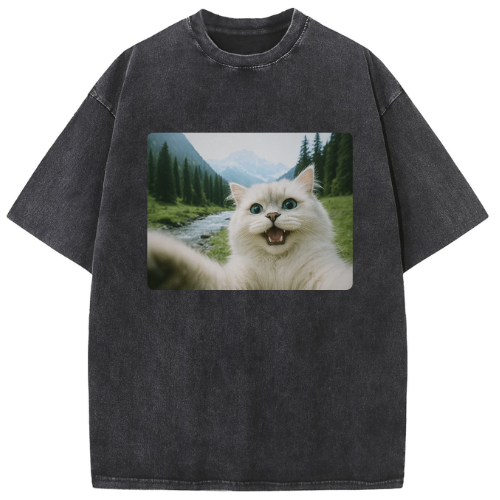Scenic Cat Washed T-shirt