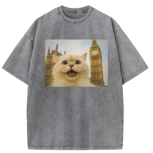 London Big Ben Cat Washed T-shirt - Image 2